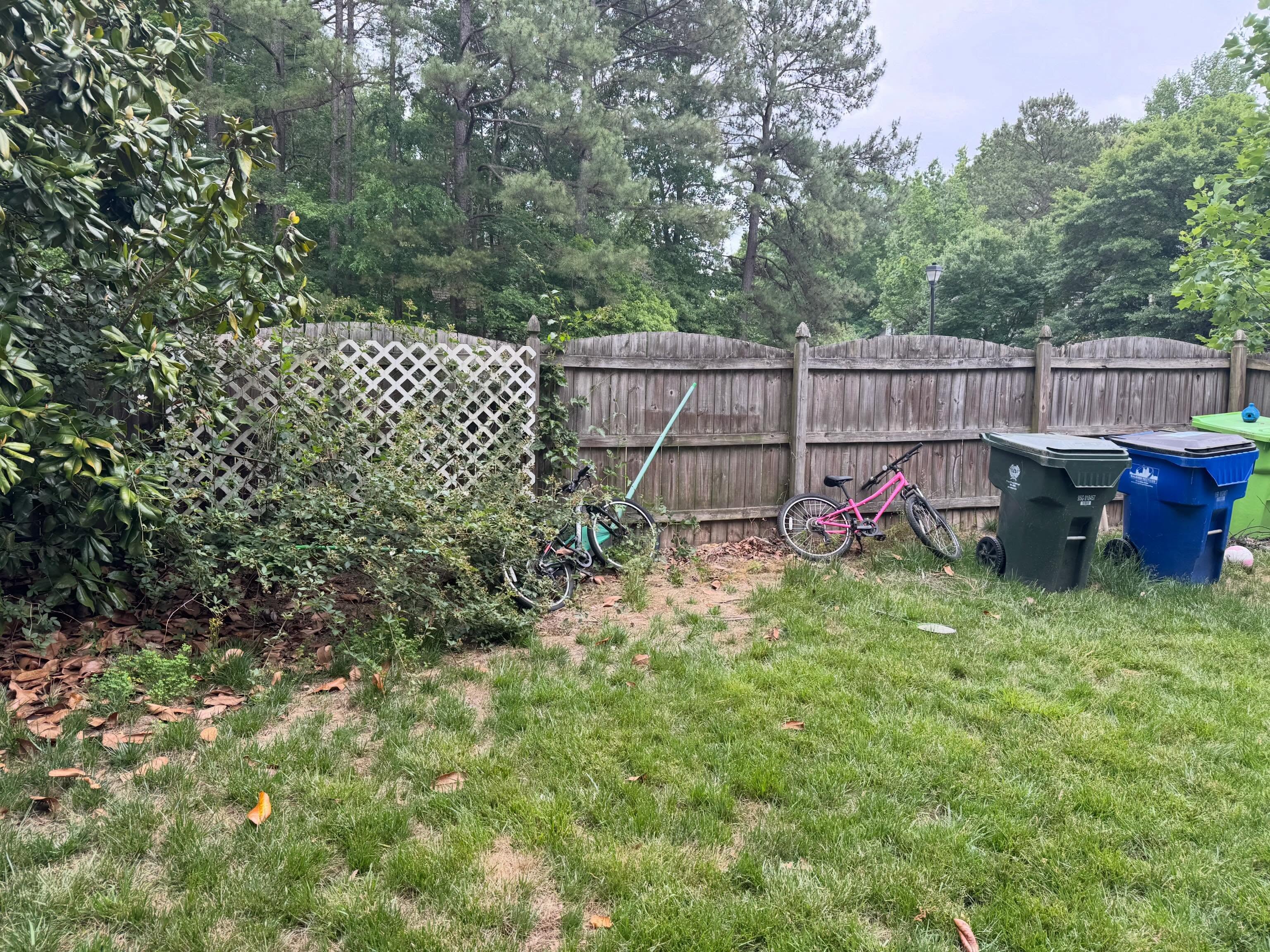 After: the same fence area with the wooden pallets removed